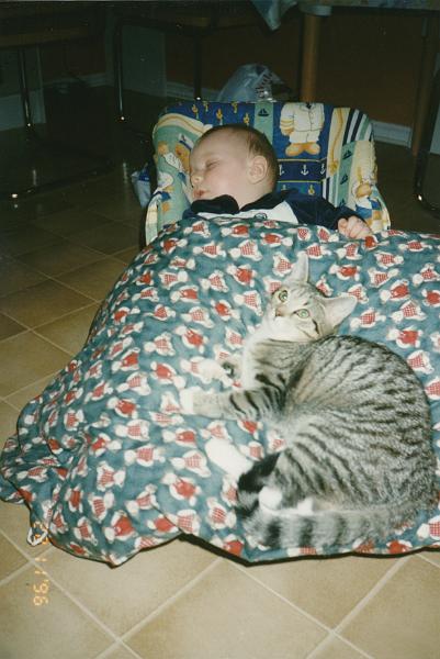 IMG_0025.jpg - Sover. Katen buster passer på ham. -- Sleeps. The cat Buster take care of him.